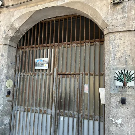 Apartmán La Yucca *